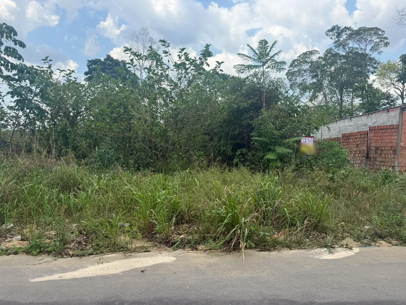 Dois lotes juntos à venda no Cetur — 800 m²